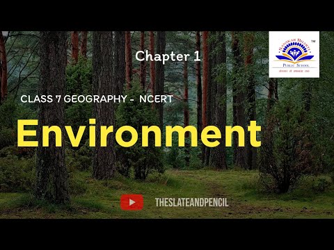 Environment | पर्यावरण | Geography class 7 chapter 1 | NCERT exam preparation | slate and pencil