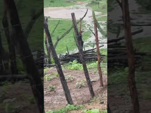 muita chuva no sertão de pedra branca ceará