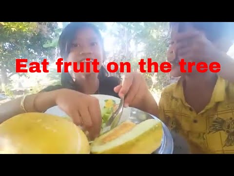 Rich fruits at up the hill | eat fruit on the tree