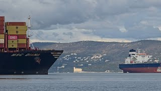 MSC Diana 400mt 19.500TEU 08/02/2026 Trieste