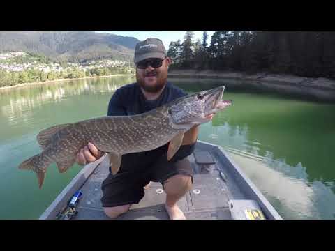 -PIKE ATTACK- LAGO CADORE PT2