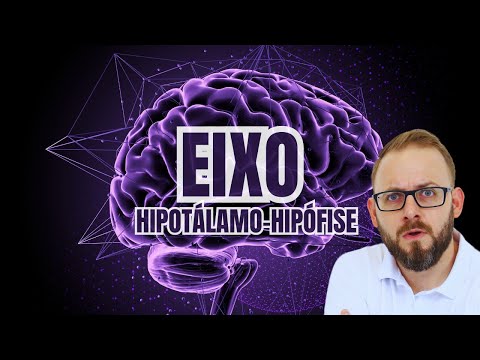 Hypothalamic-pituitary axis review | Physiology and pharmacology class | Easy Pharmacology
