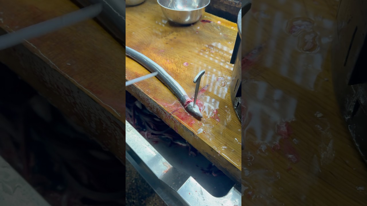 His knife skills are incredibly fast; I'm sure I would have missed it if I weren't the one doing it.