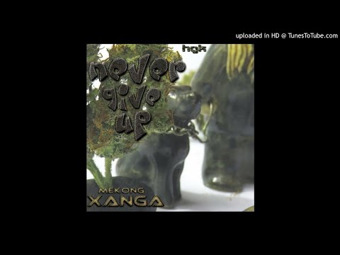 Mekong XAnga - Never Give Up - 11 33 degrees raggatek