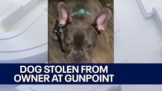 Milwaukee dog stolen from owner at gunpoint | FOX6 News Milwaukee