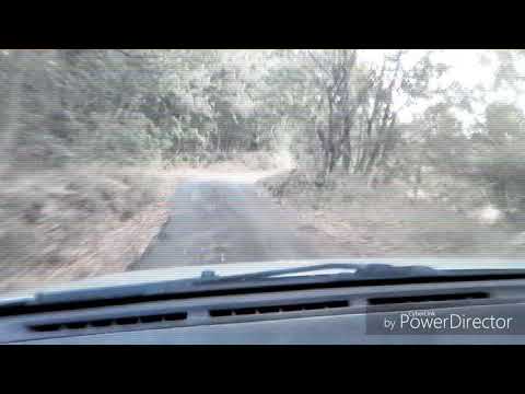 BARBAGIA VIOLENTA : TITTI PINNA