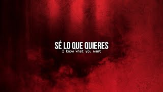 Little white lies • One Direction | Letra en español / inglés