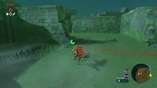 【Switch】Breath of the Wild その01【ゼルダBotW】