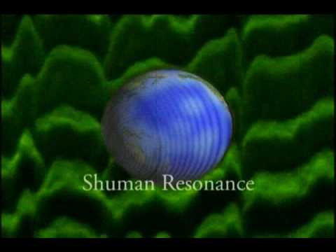 Protocol 6 - Schuman