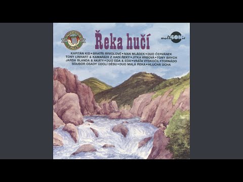 Jižní Eskadrona / Montgomery/