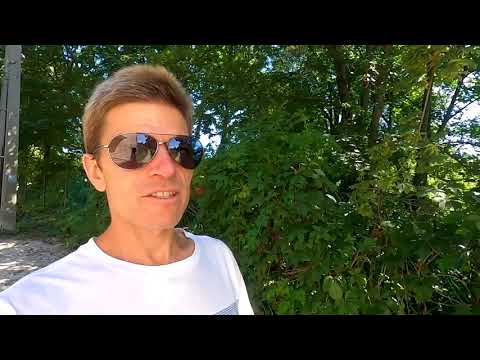 Piliscsaba, Hungary Aug 22