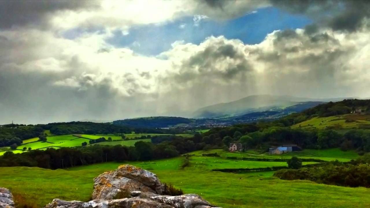 youtube video id=D80Idnh811I