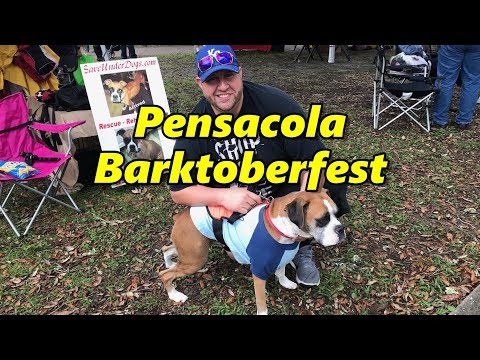 download lagu mp3 mp4 Barktoberfest 2018, download lagu Barktoberfest 2018 gratis, unduh video klip Barktoberfest 2018