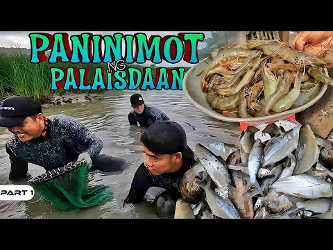 P1-Paninimot ng Palaisdaan - EP1091