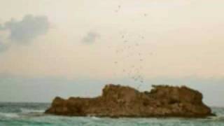 Playa Azul Flamenco Chillout.flv