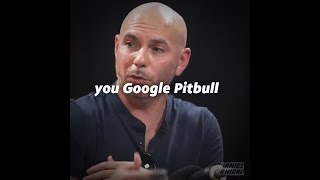 Pitbull - "Google pitbull, I come up before the dog"