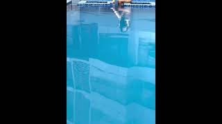 Ms Eleyn Adarna tiktok short be like...