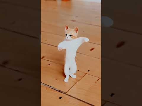 Juju jujuju juju juju 😺#shortvideos #viral #cat dance