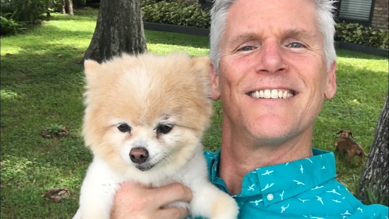 Talking Animals with Mitchell - Animal Numerology, Animal Warriors & Death