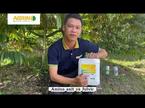 Giải pháp cải tạo đất, dưỡng rễ trước tạo mầm sầu riêng | Can tưới hữu cơ Organic Rootsti Agrino