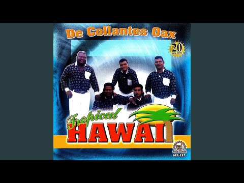 Tropical Hawai Corazon Triste - Navidad Costena