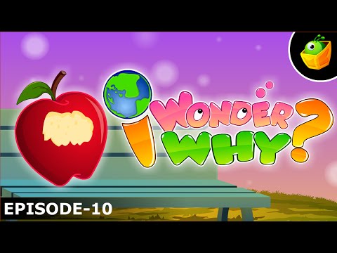 download lagu mp3 mp4 Apple Brown On The Inside, download lagu Apple Brown On The Inside gratis, unduh video klip Apple Brown On The Inside