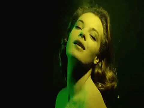 UM DIA POR VEZ -   DIRCE GUERREIRO