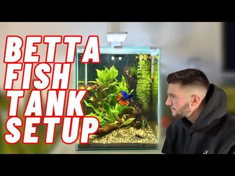 SETTING up a PLANTED AQUARIUM for a BETTA FISH (AquaEl Shrimp Set 30 Litre Fish Tank)