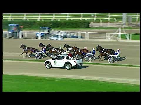 Trotto 27/11/2020 - 2ª corsa