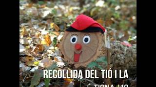 Ja tenim els Tions i Tiones a casa!