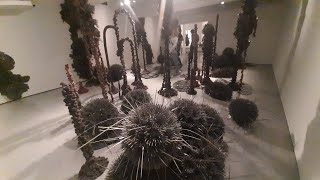 Nature Reimagined: Organic Textile Sculptures at TextielMuseum Tilburg