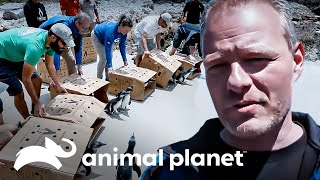 Thumbnail del capítulo