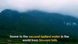 Siruvani Waterfalls 2021