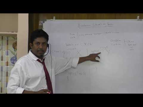 14 Java Boolean Literals