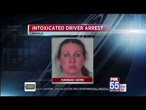 Drunk Michigan Driver Arrested After Near Collision With Indiana State Trooper in Angola