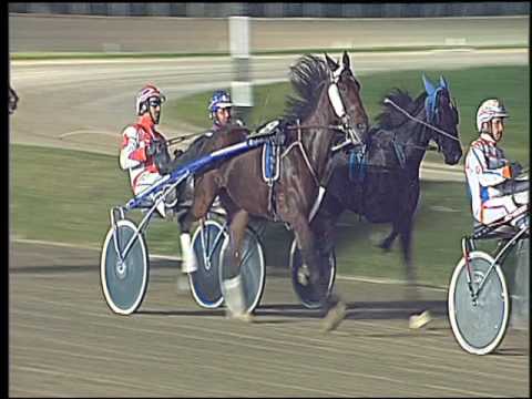 Trotto 30/10/2016 - 8ª corsa