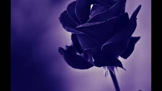 Voninkazo - Magic Swing