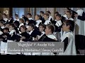 "Magnificat" P. Anselm Viola | Escolania de Montserrat (Llorenç Castelló)