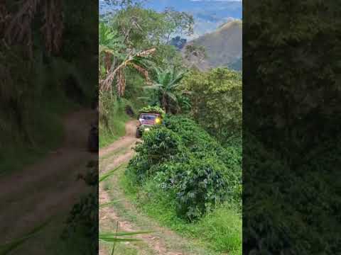 🍃 Toyota vino tinto cargada en Peñas Blancas, La Celia Risaralda 🚙💪