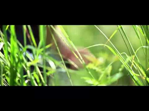 Enduro Xrace 21. - 22. 6. 2013 Sušice