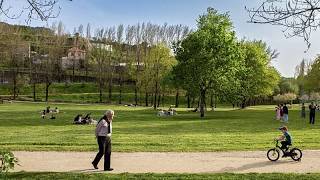 Más zonas verdes: Guimarães se prepara contra el calor extremo y el cambio climático
