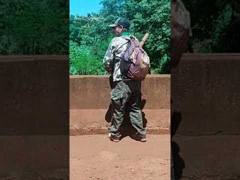 RIBEIRÃO GRANDE DIVISA PRADO FERREIRA / CAMBÉ PARANÁ!!!! #tilapia #pescaria #pescador #acampamento