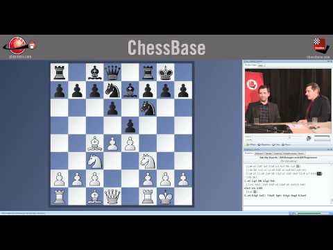 Ask the experts Vol.2: With GM Victor Bologan and GM Dorian Rogozenco