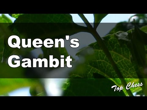 Chess Online - Harry Nelson Pillsbury vs Georg Marco