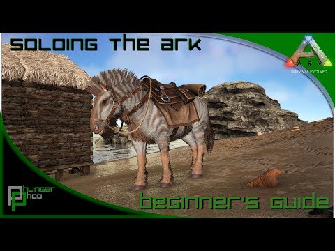 Soloing the Ark S4E7! Beginner's Guide! Equus taming!