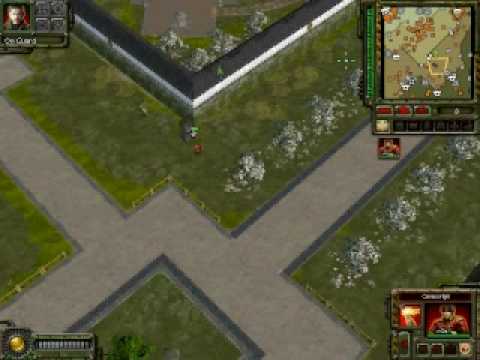 A Conscript And His Bear