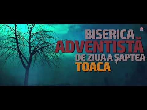 promo prgram - TOACA (10 - 11 noiembrie)