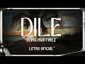 Elvis Martinez - Dile (Official Lyrics) Bachata