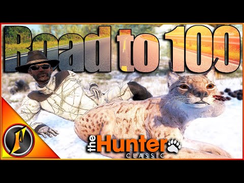CRAZY HUNT For Our 100th Lynx in theHunter Classic! | Road to 100!