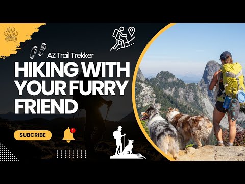 Hiking With Dogs 101 🐶⛰️ The Ultimate Guide